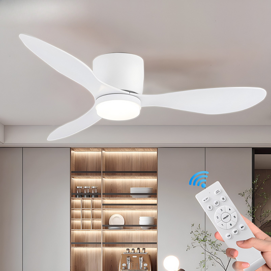 Ventilador de Techo BRISACALM – Diseño Moderno y Funcionamiento Silencioso